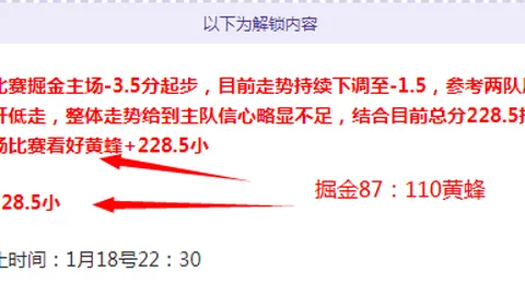 霍芬海姆迎战沃尔夫斯堡——德甲联赛第三轮对决
